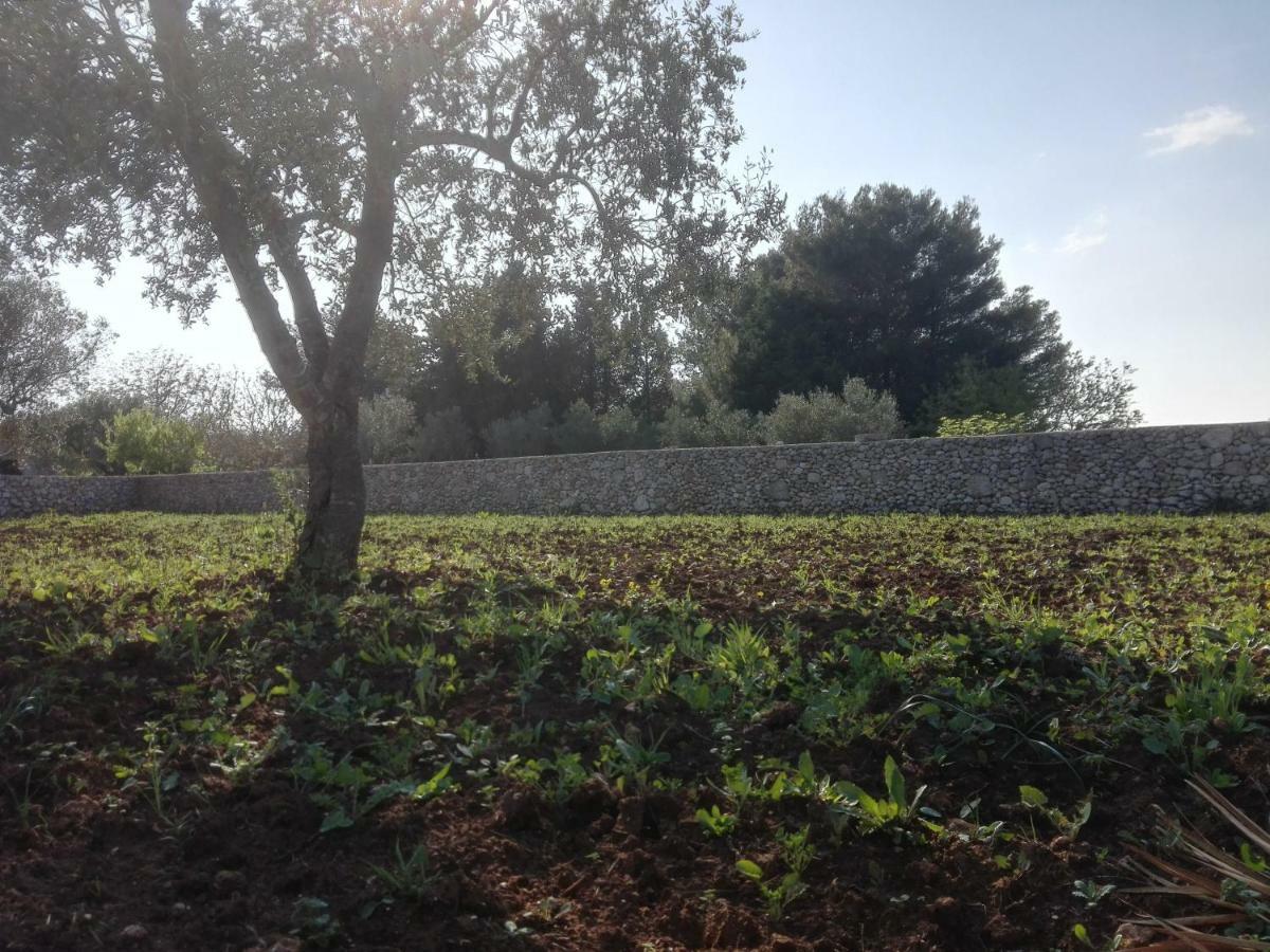 Palacca, Trullo Salentino Андрано Екстер'єр фото